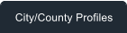 City/County Profiles